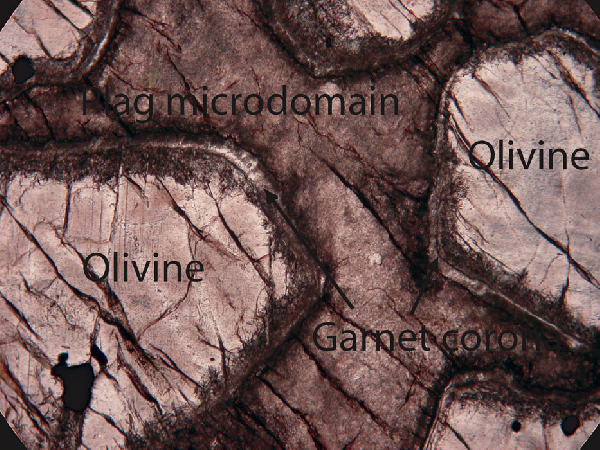 Partially eclogitized troctolite