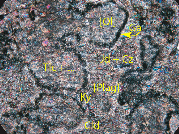 Eclogitized troctolite