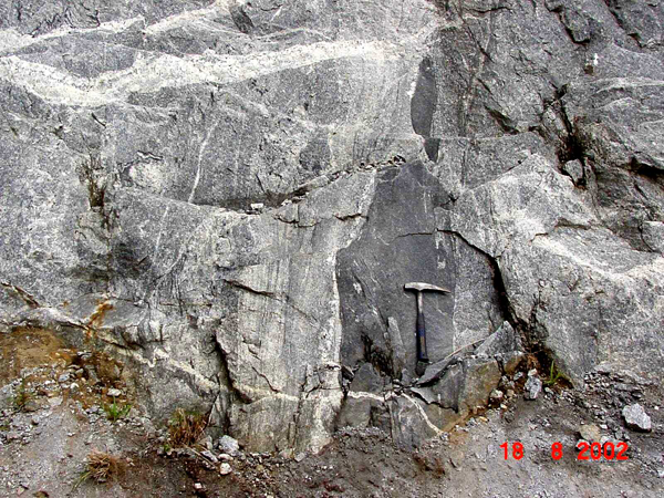 Banded orthogneiss of tonalitic and granodioritic composition