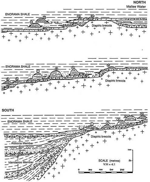 Cross section through the Enorama Diapir and Enorama Shale.