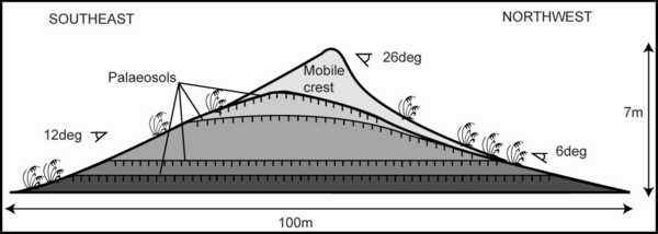 Cross section of a longitudinal dune