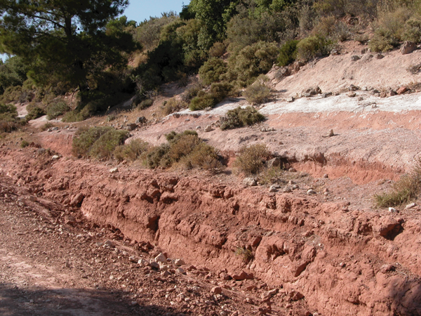 Outcrop of red sediments