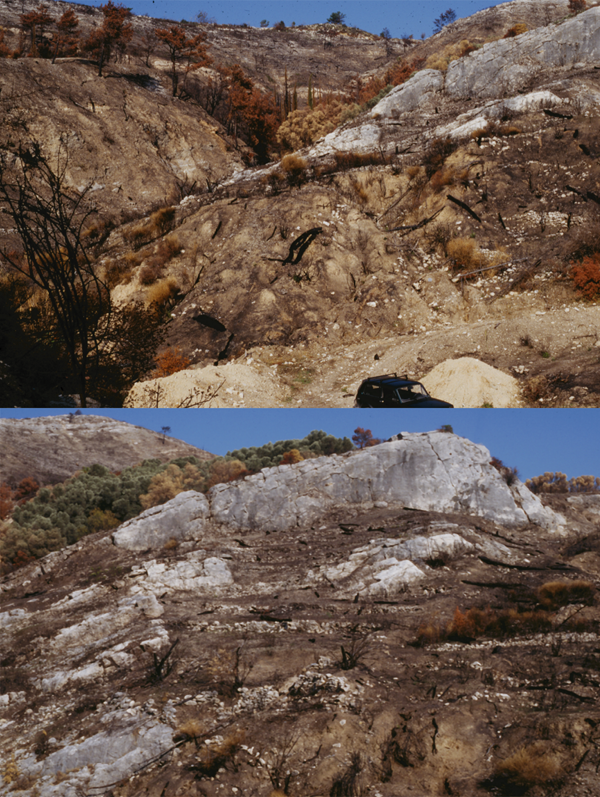 Photographs of outcrop at fossil site.