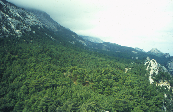 Panoramic view of Kallithea nappe