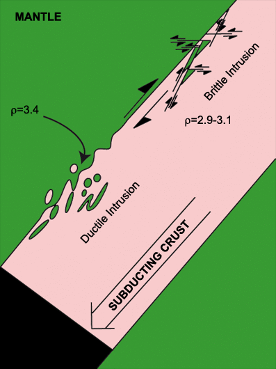 Tectonic sketch showing tectonic engagement of slices of mantle wedge inside the subducting continental crust.