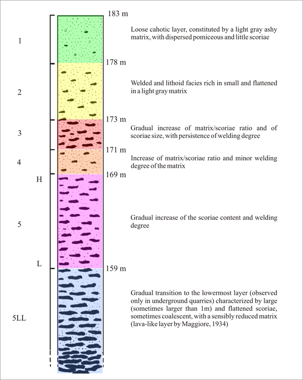 Stratigraphy of the Piperno.