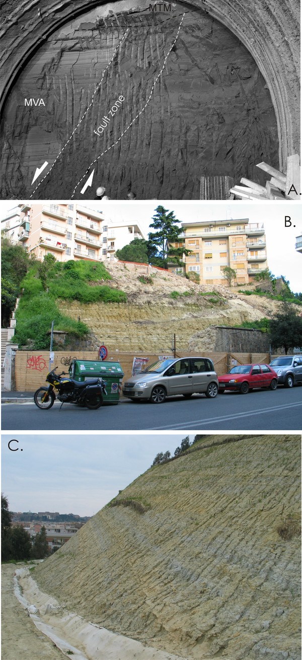 The Pliocene Monte Vaticano Formation