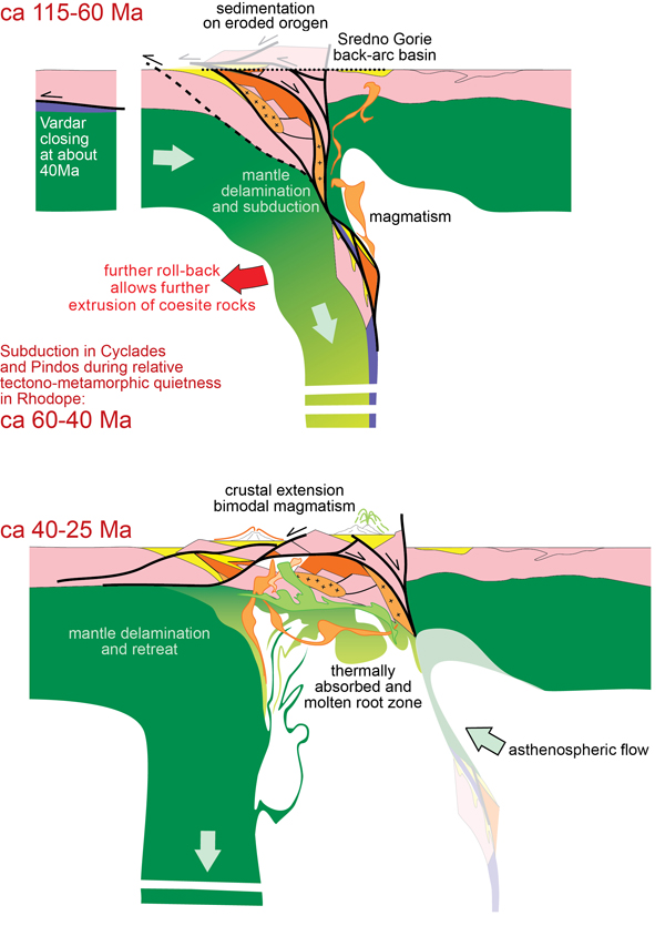 Tectonic interpretation across the Rhodope island arc in Late Cretaceous to Oligocene times.