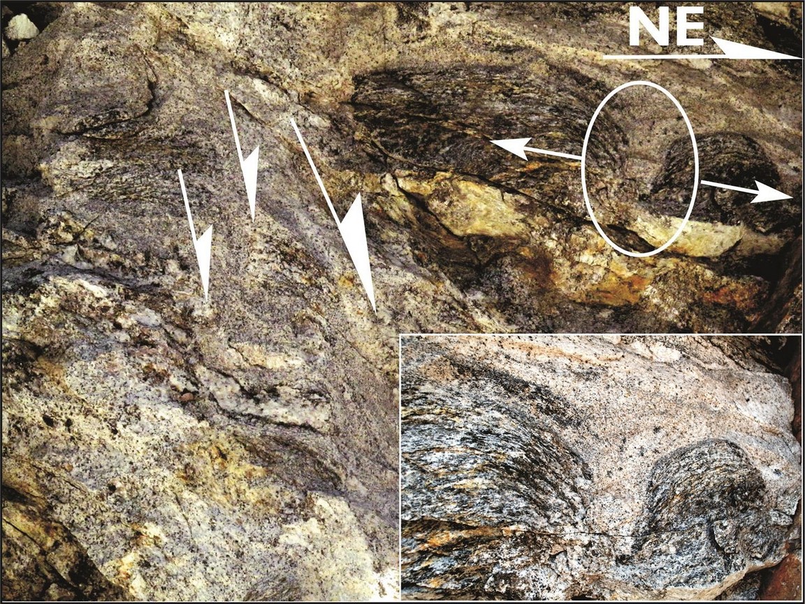 Extensional shear bands and foliation boudins with leucogranite