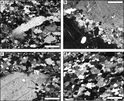 Photomicrographs of typical microstructure seen in rocks that have undergone dynamic recrystallization