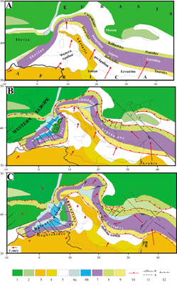 Mediterranean evolution for the period Oligocene-middle Miocene