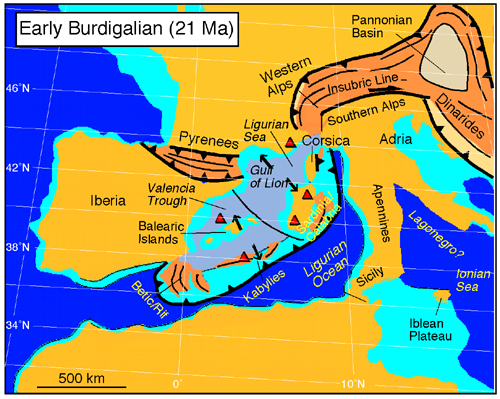 Early Burdigalian reconstruction