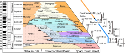 Stratigraphic panel across the Eastern Pyrenees and its related foreland basin