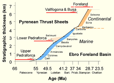 Syntectonic foreland sediments