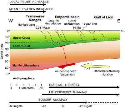E-W lithospheric transect