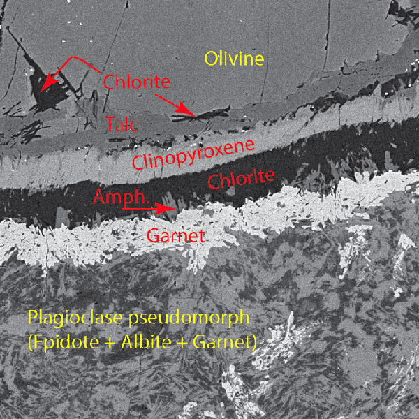 Multilayered corona developing between olivine and plagioclase