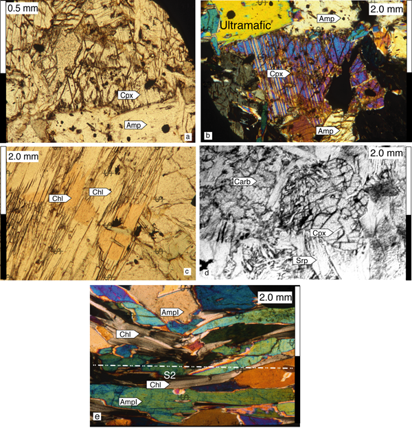 Microstructural relationships within ultramafites