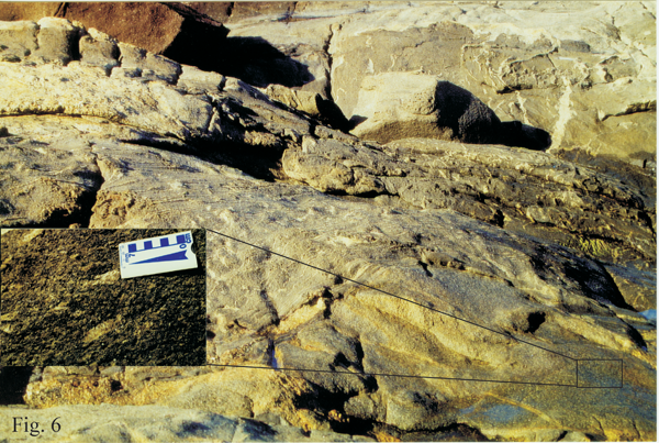 Gradational contact between amphibolite-biotite-gneiss and enderbite in the Siribeira region