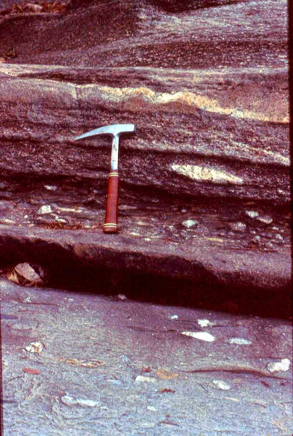 Debris flows (diamictite layers) and sandy turbidites (quartzite layers)