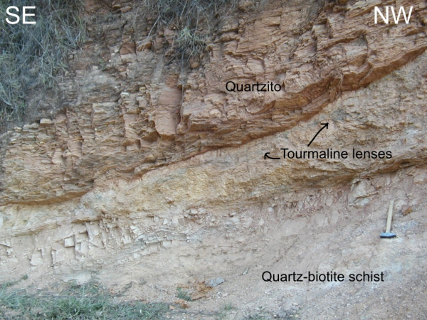 Quartz-biotite schist