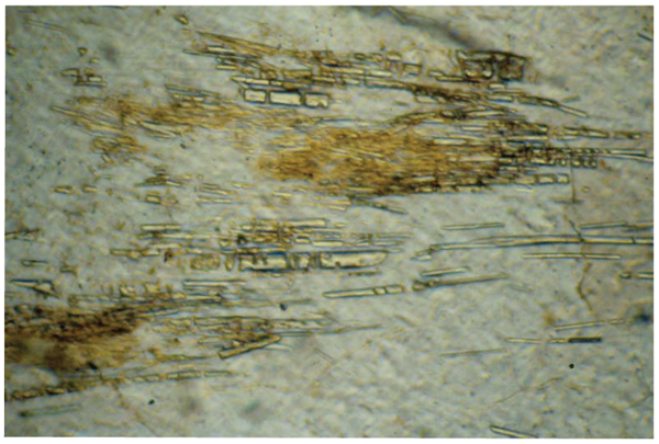 Photomicrograph of sillimanite that characterize the progressive deformation at different crustal level, width of view 5mm, and define a well-developed regional mineral lineation.