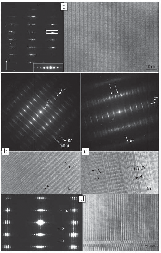Electron micrographs