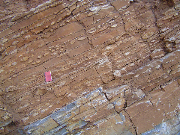 Boudinage structures in the layered marble near Ronzas creek (Stop 2.4).