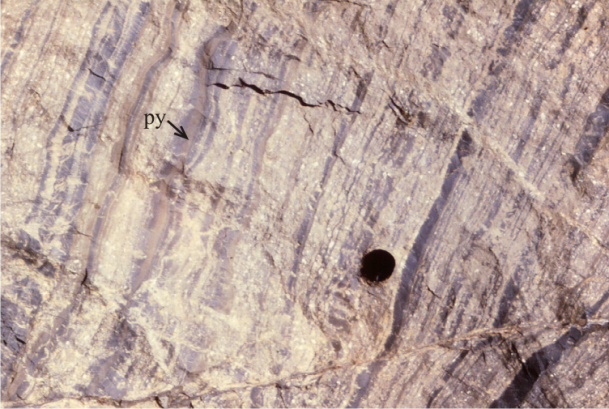 Fine-grained pyrite in the outer zone of silica-dolomite.