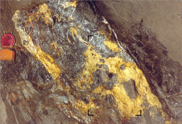Fine-grained pyite in high grade silicified zone of silica-dolomite.