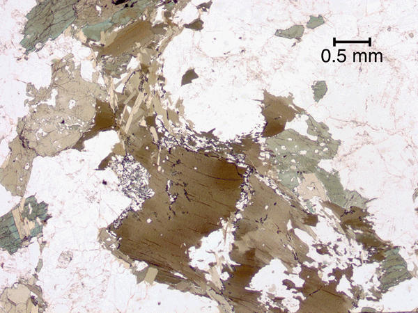 Bent, recrystallized biotite grain.