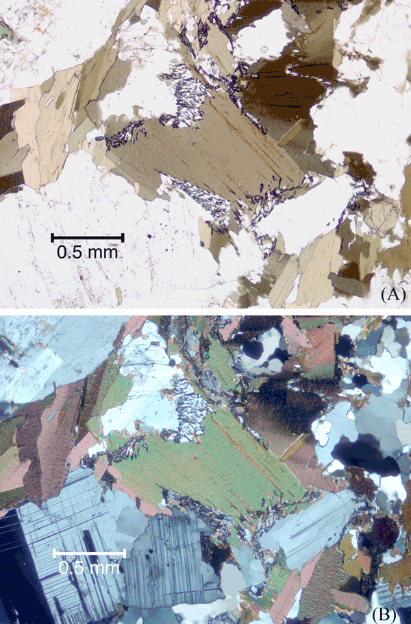 Biotite partially replaced by symplectic plagioclase and titanite.