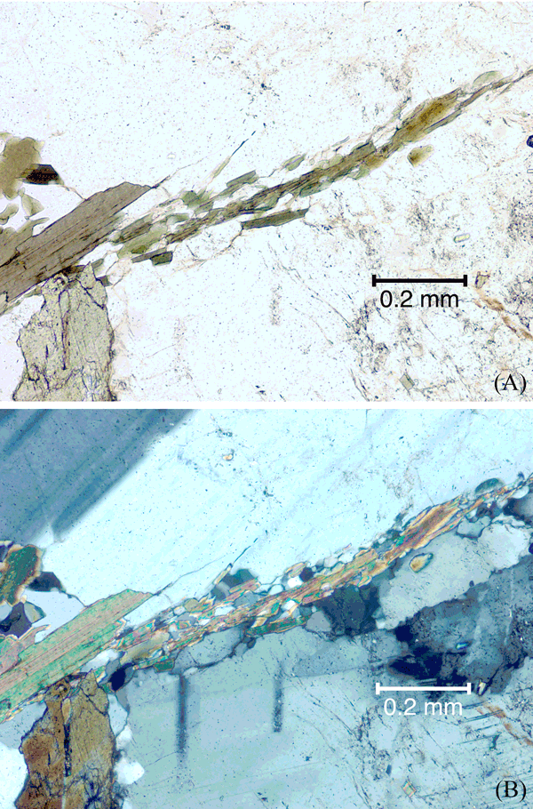 Biotite, plagioclase and quartz forming incipient folium between grains of plagioclase.