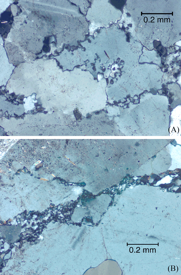 Subgrains and new grains along grain boundaries and fractures in primary plagioclase.