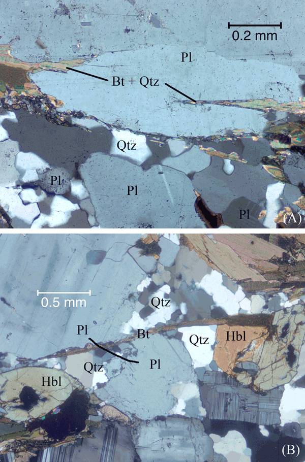 Biotite and quartz growing filling fractures in a primary plagioclase grain.
