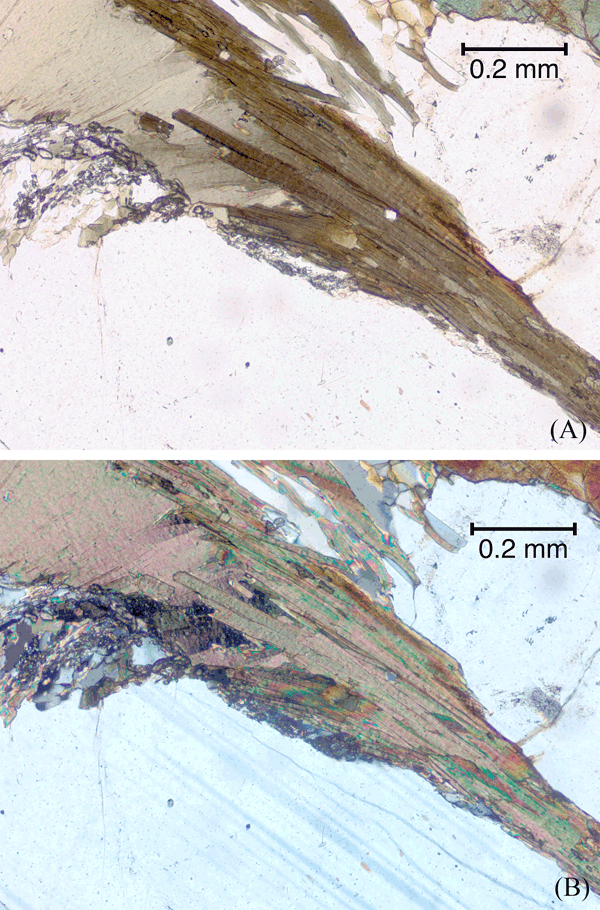 Thinning and internal deformation of a biotite grain to form a new folium.