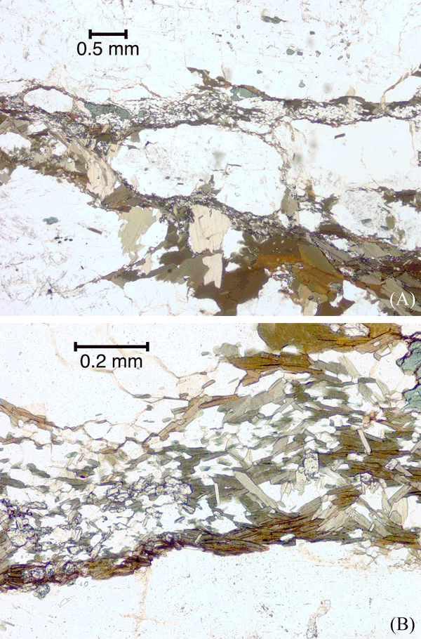 Continuous foliae of biotite and quartz with small fragments of titanite, epidote and hornblende.