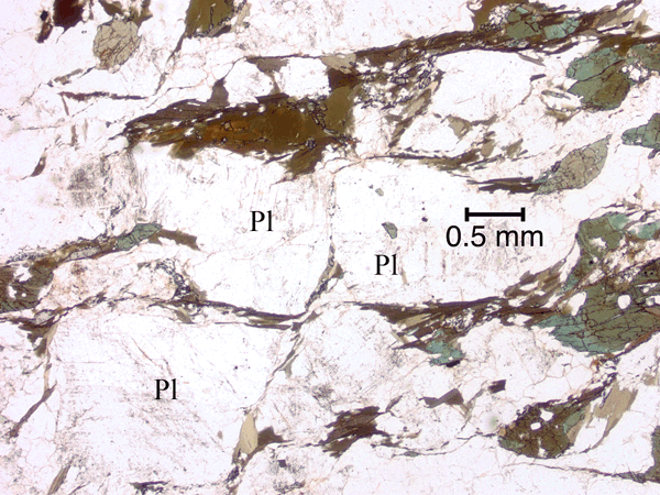 Development of an S/C-type fabric around plagioclase grains.