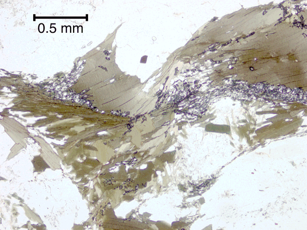 Biotite cut by a folium containing titanite and disaggregated plagioclase-titanite symplectite.