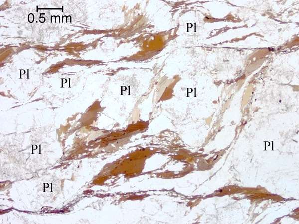 Anastomosing foliae forming an S/C-type fabric around plagioclase grains.