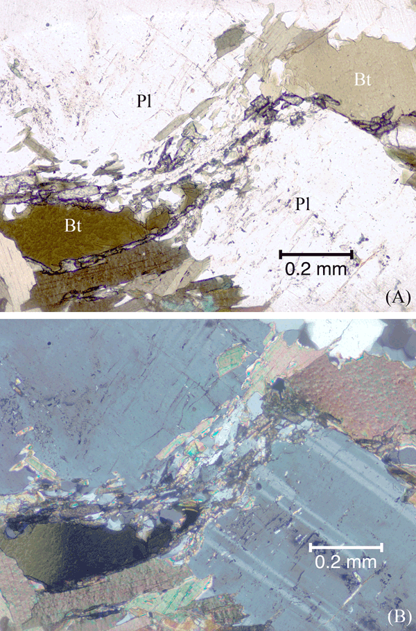 Fine-grained biotite, plagioclase, quartz and titanite folium linking biotite foliae.