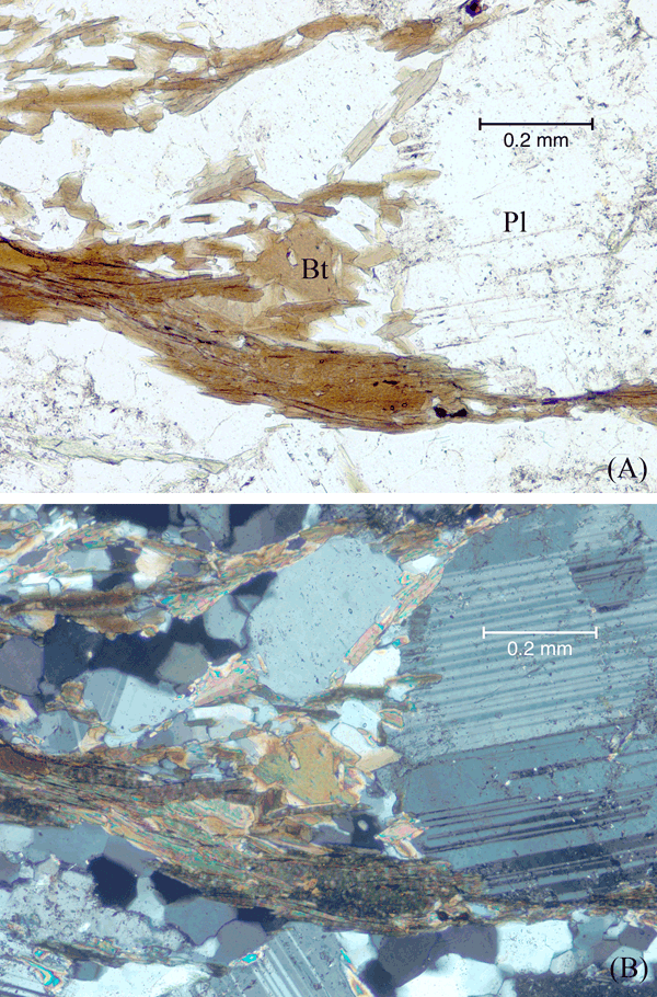 Plagioclase clast with ‘beard’ of biotite and quartz.
