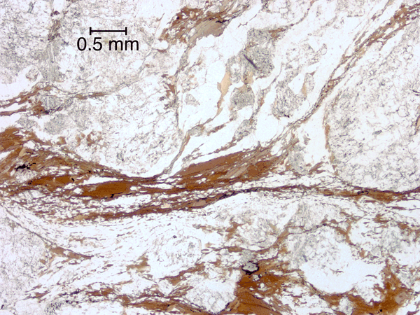 Plagioclase clast with ‘beard’ of biotite and quartz extending into a folium.