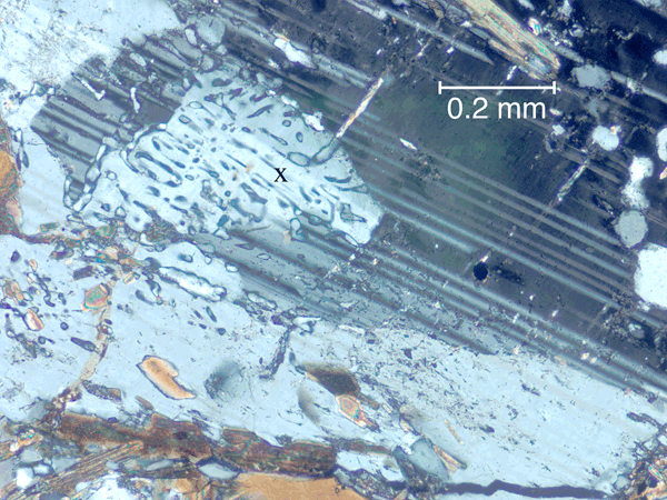 Plagioclase-quartz symplectite (x) replacing plagioclase.
