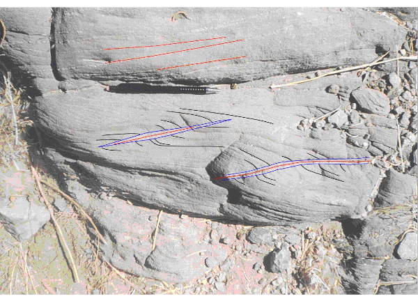 Flanking folds in metaturbidites from Namibia