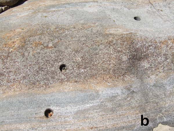 Bands of norite and amphibole gabbro; Restitic paragneiss