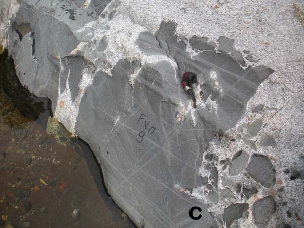 Orthogneiss, aplite and mafic dyke