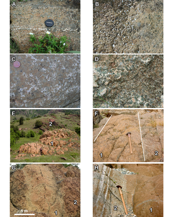 Main features and field relationships of impregnated plagioclase peridotites and replacive dunites.