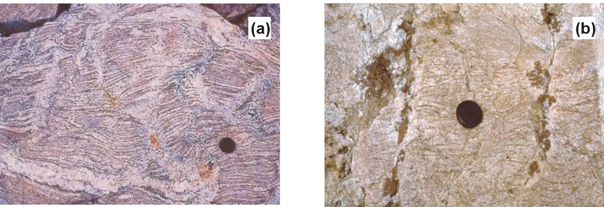 GSV Terrane: Migmatites II