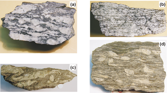 Lithologies from Tinée Terrane