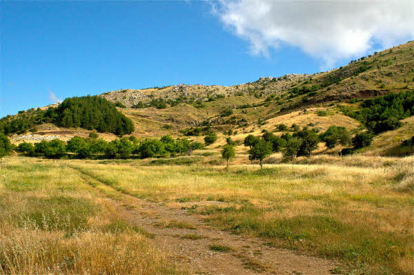 Hippodrome and ash altar